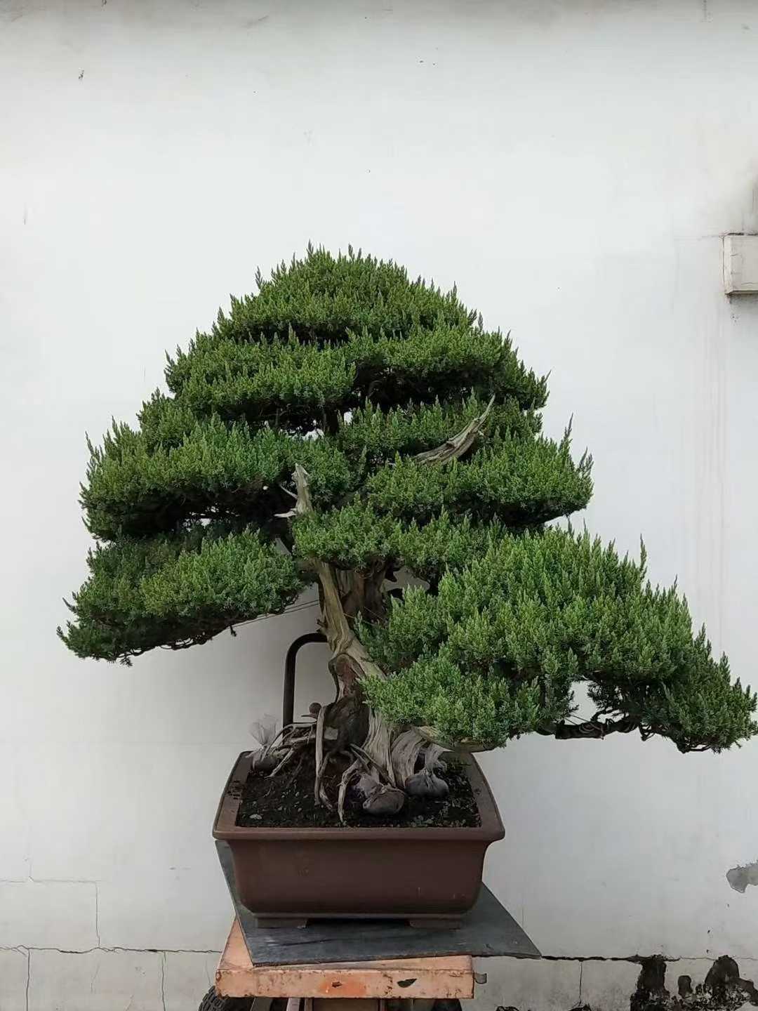 微信图片_2025-09-27_090738_746.jpg