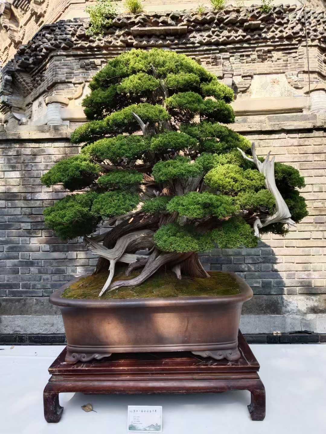 微信图片_2025-09-27_090752_592.jpg