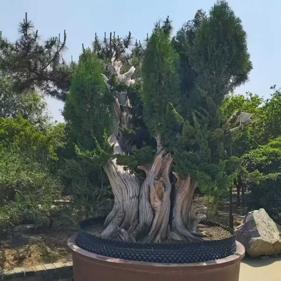 微信图片_2025-09-27_090913_384.jpg