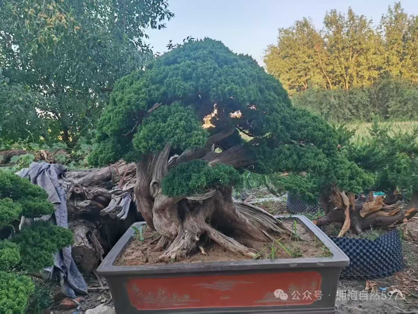 微信图片_2025-09-27_091257_242.jpg