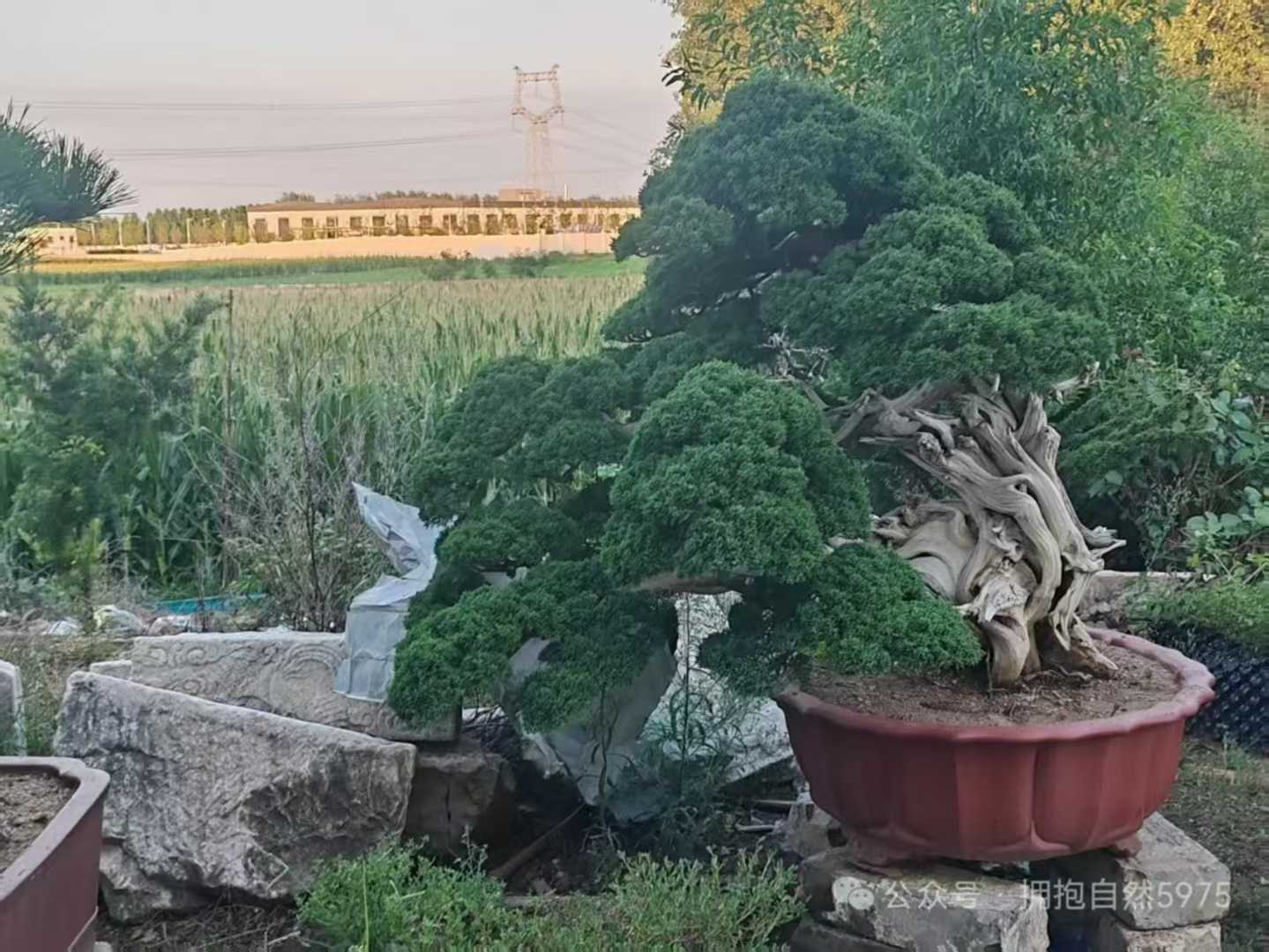 微信图片_2025-09-27_091342_633.jpg