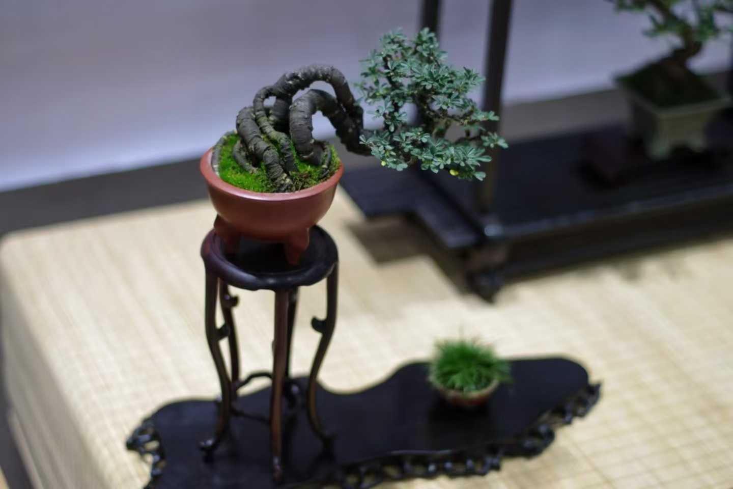 微信图片_2025-09-27_091446_986.jpg