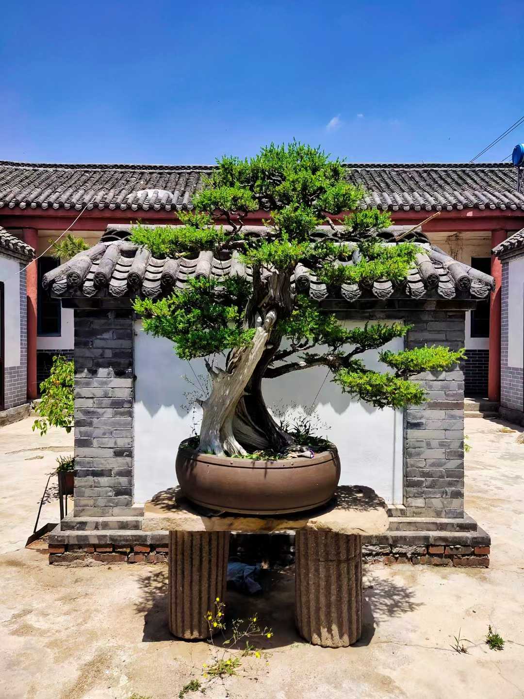 微信图片_2025-09-27_091715_770.jpg