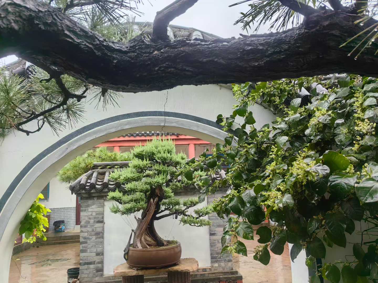 微信图片_2025-09-27_085956_472.jpg