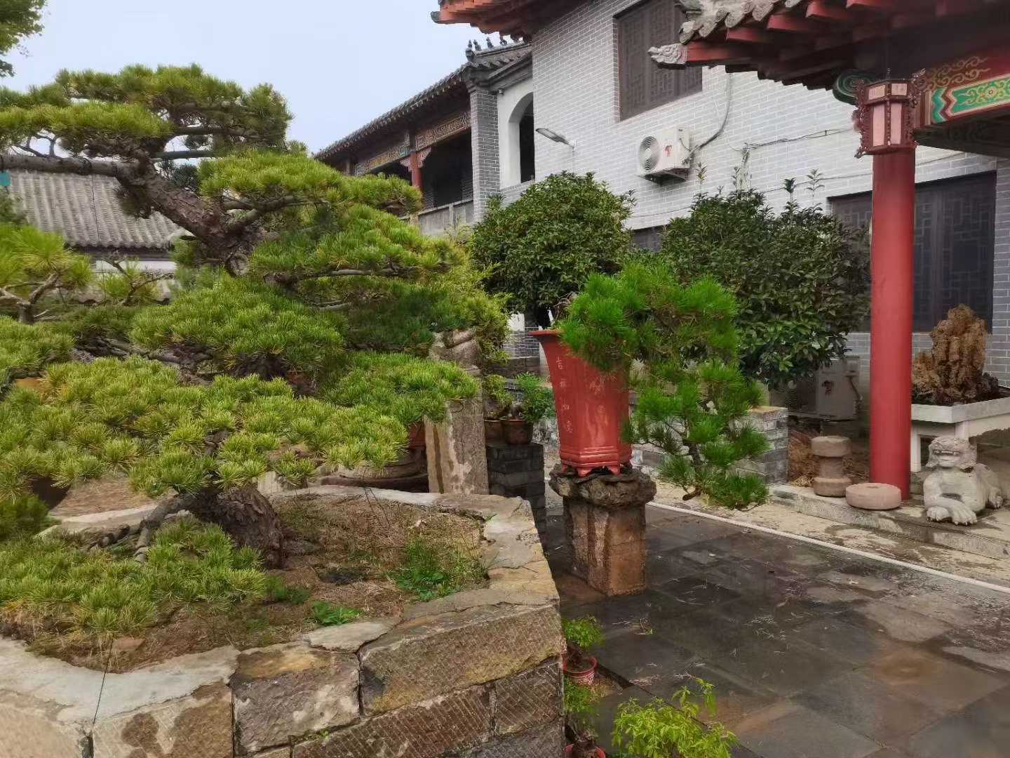 微信图片_2025-09-27_090048_208.jpg