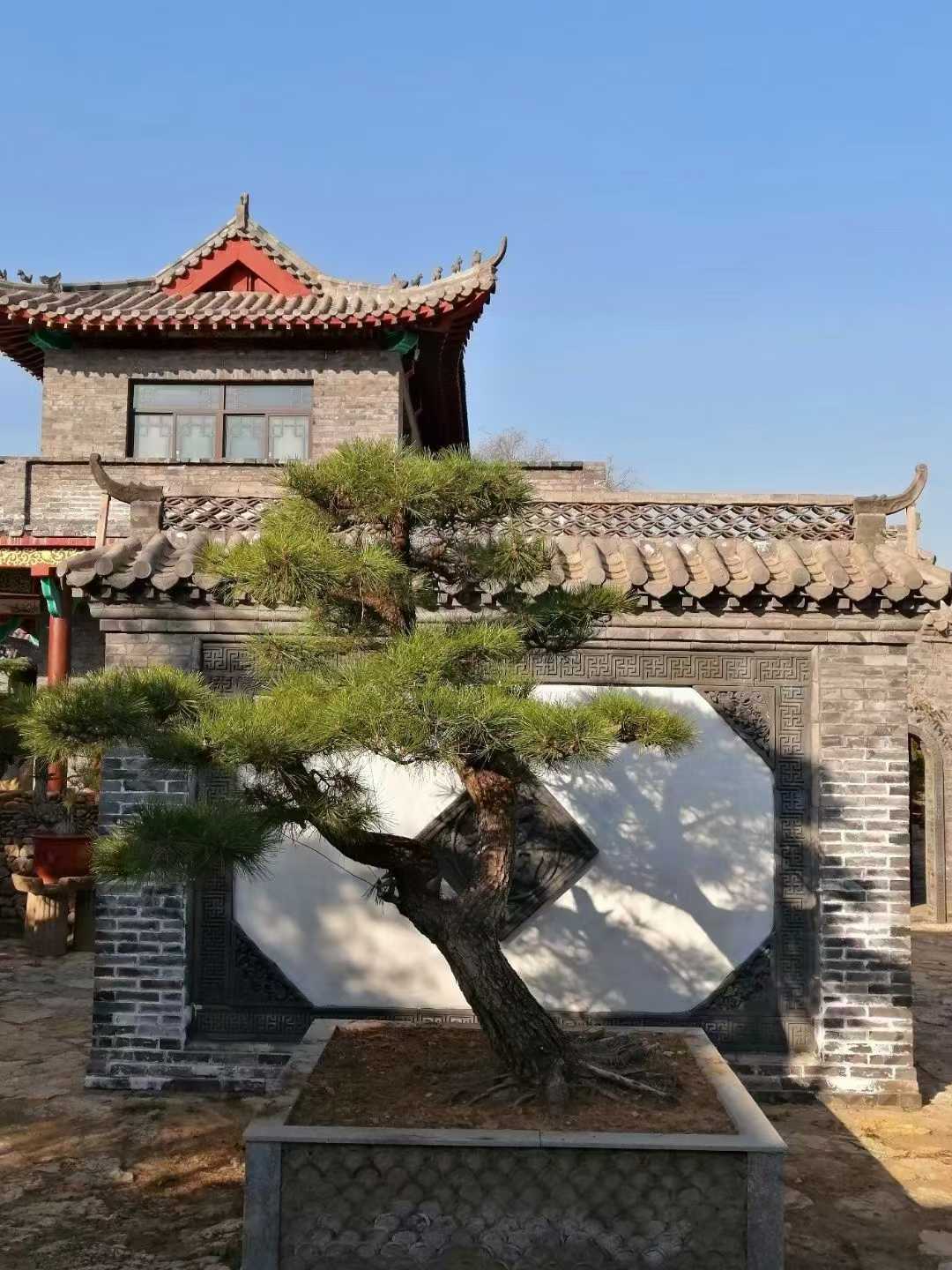 微信图片_2025-09-27_090116_601.jpg