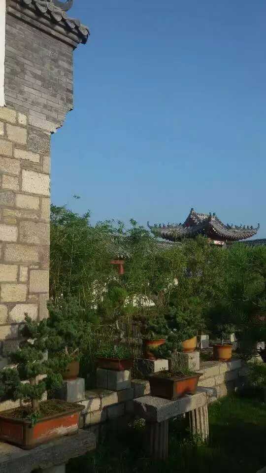 微信图片_2025-09-27_090400_384.jpg