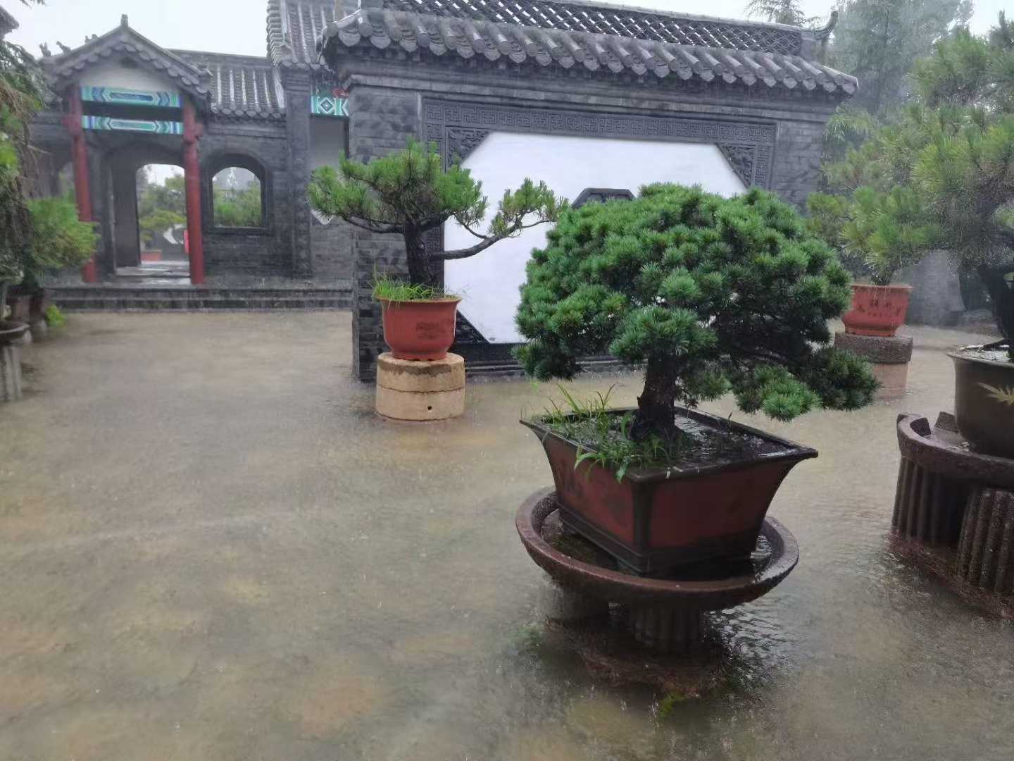 微信图片_2025-09-27_090548_337.jpg