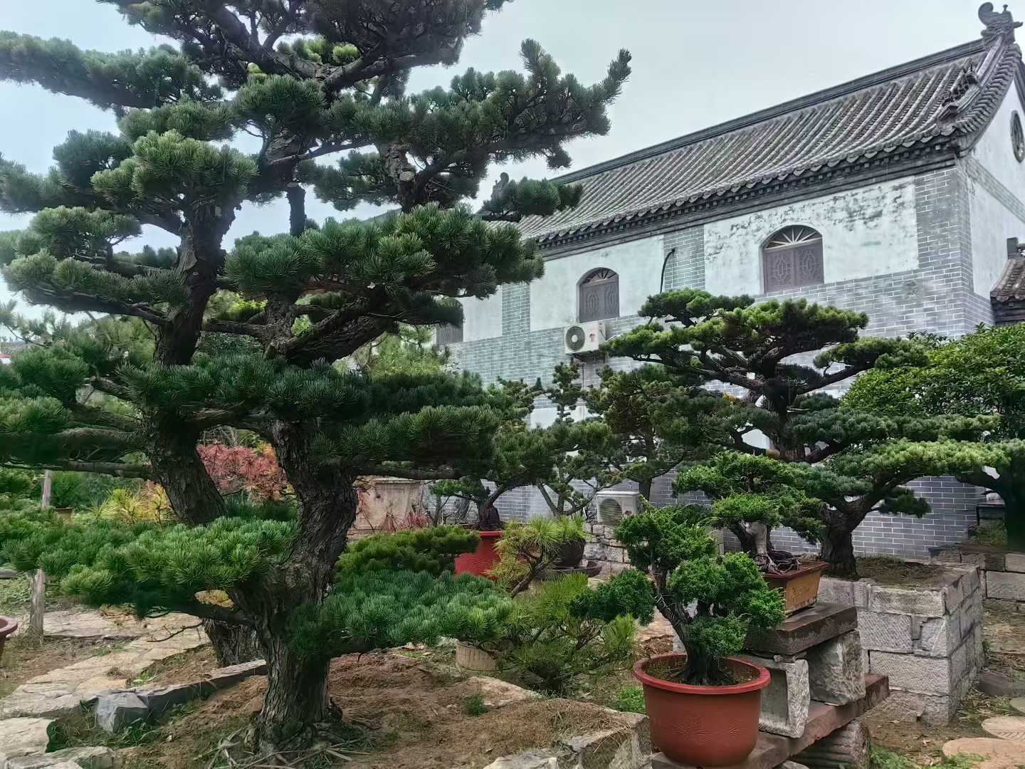 微信图片_2025-09-27_090905_825.jpg