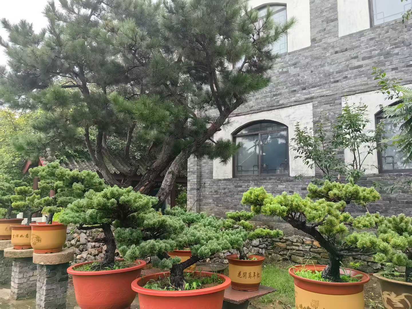微信图片_2025-09-27_090926_169.jpg