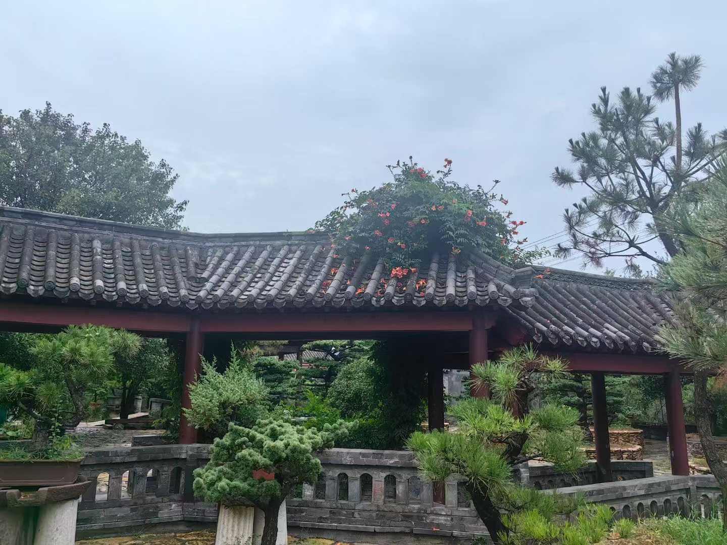 微信图片_2025-09-27_091113_720.jpg