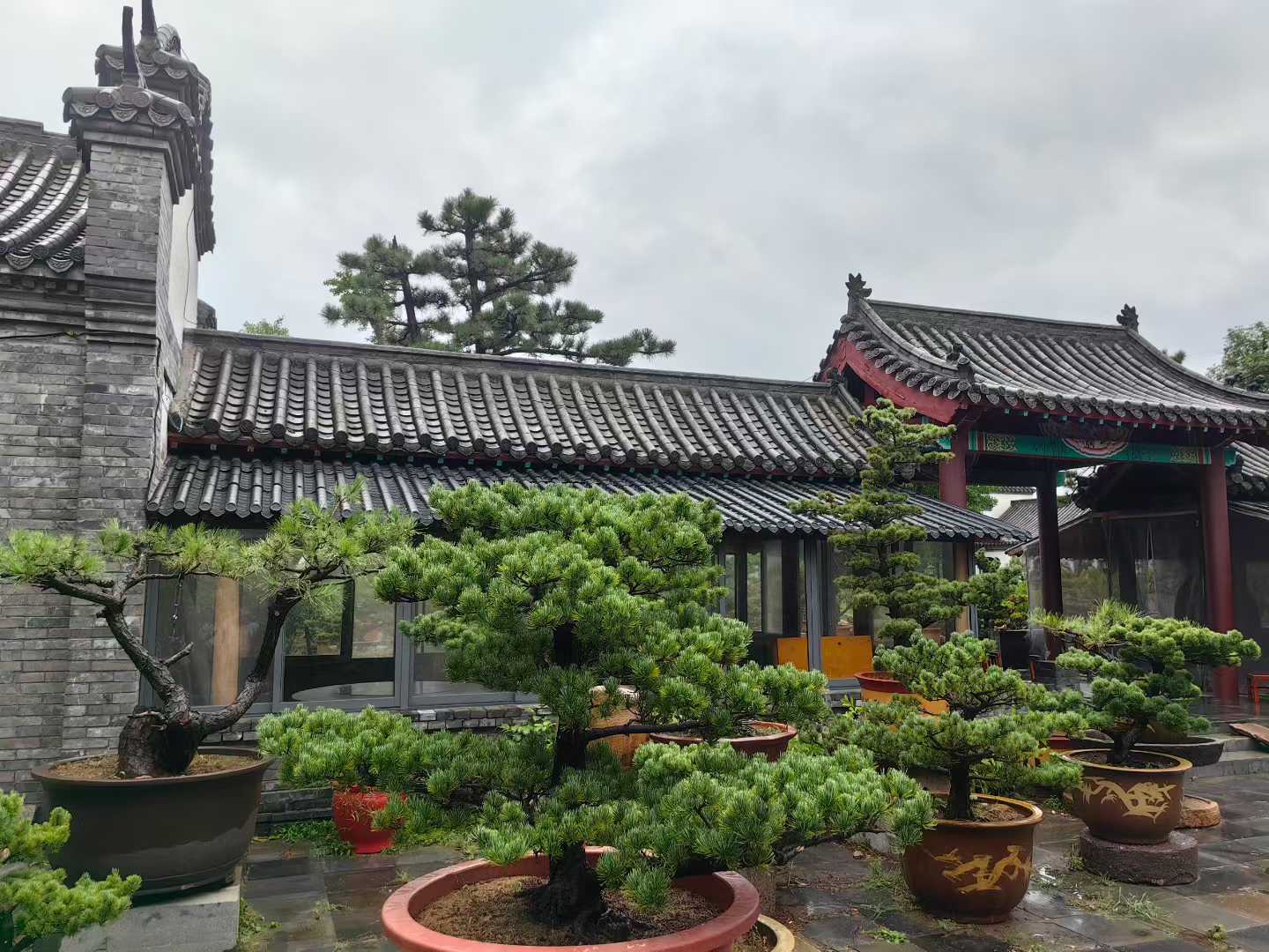 微信图片_2025-09-27_091155_961.jpg