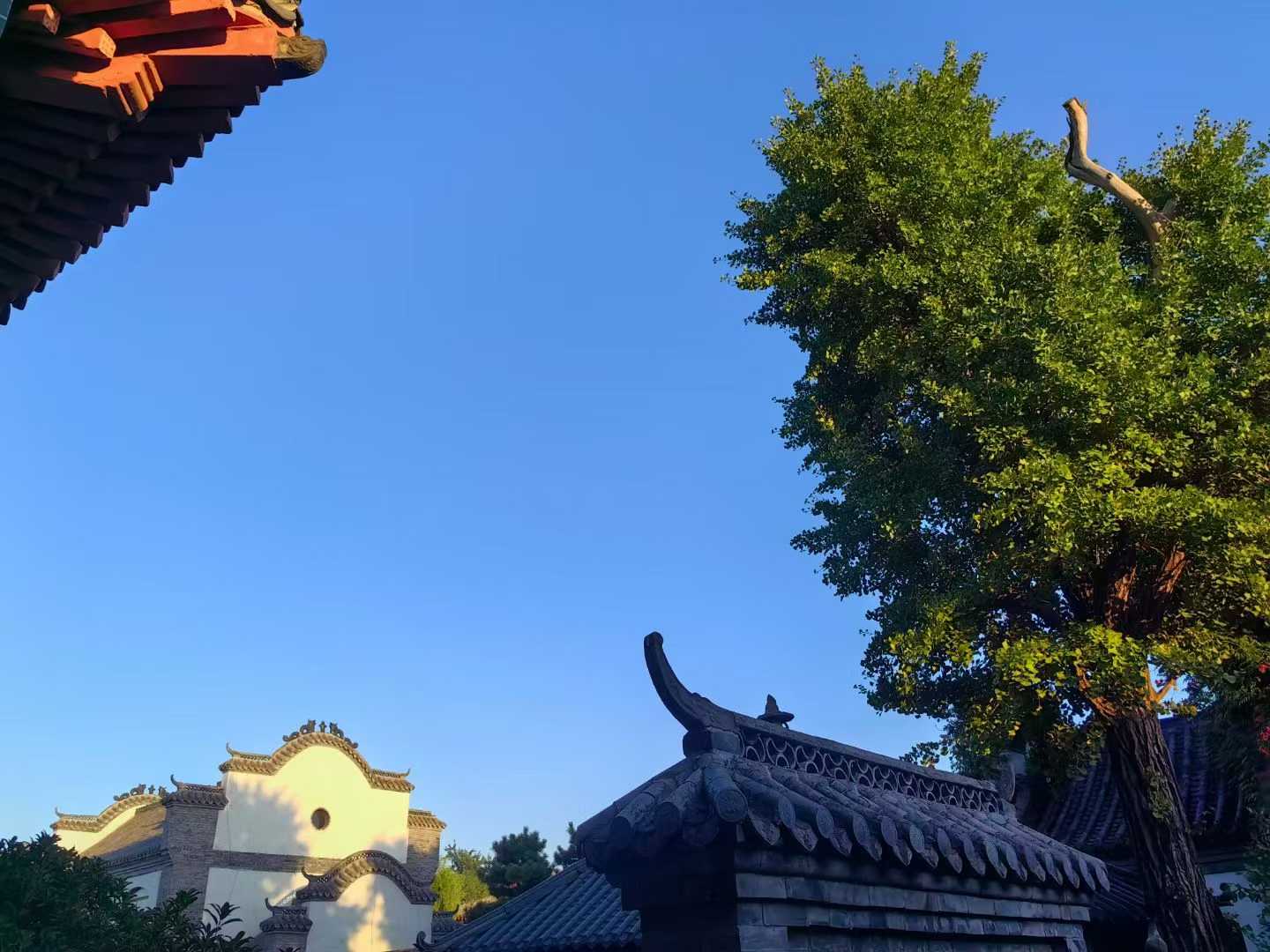 微信图片_2025-09-27_091226_217.jpg