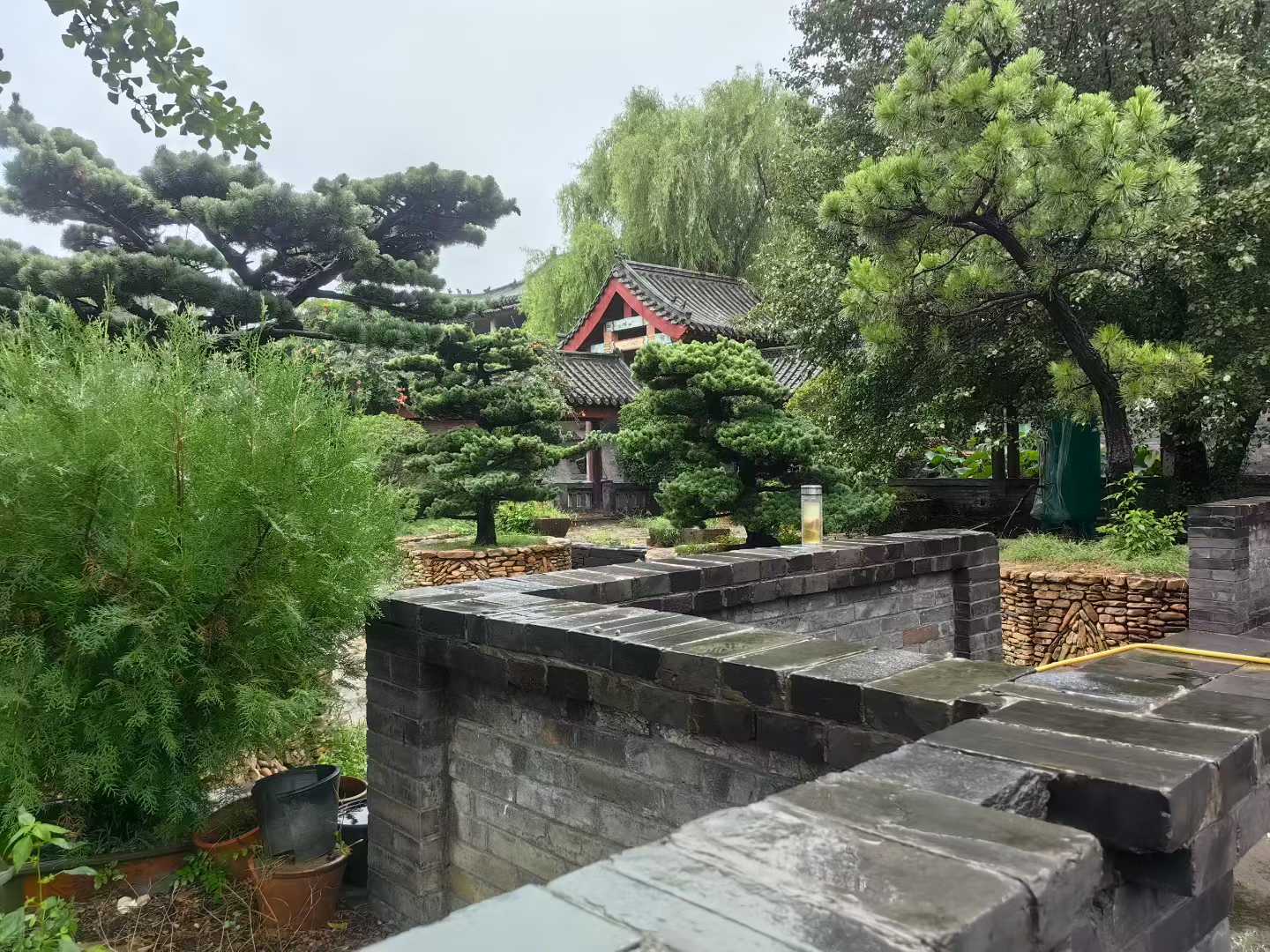 微信图片_2025-09-27_090055_200.jpg