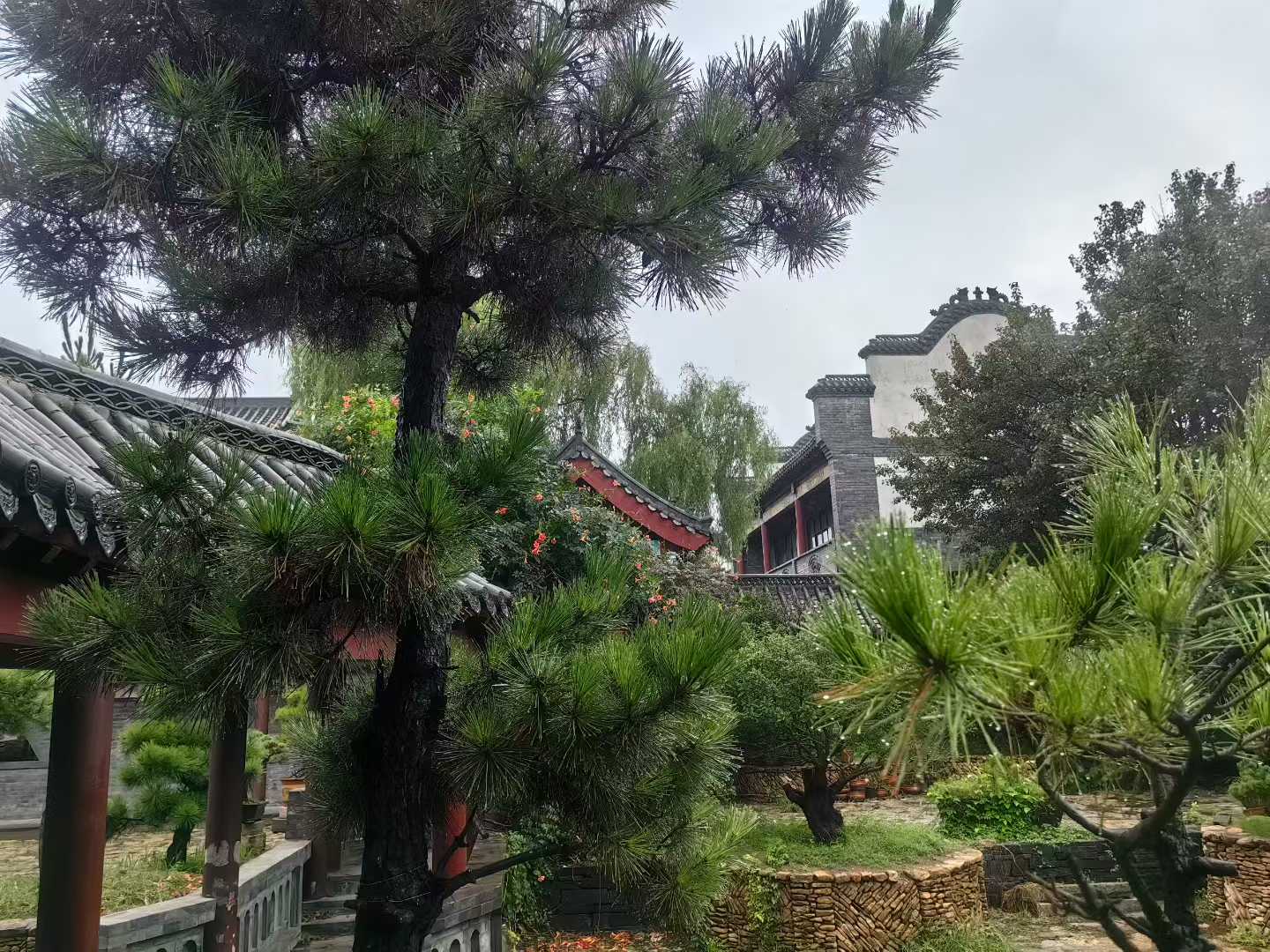 微信图片_2025-09-27_090826_801.jpg
