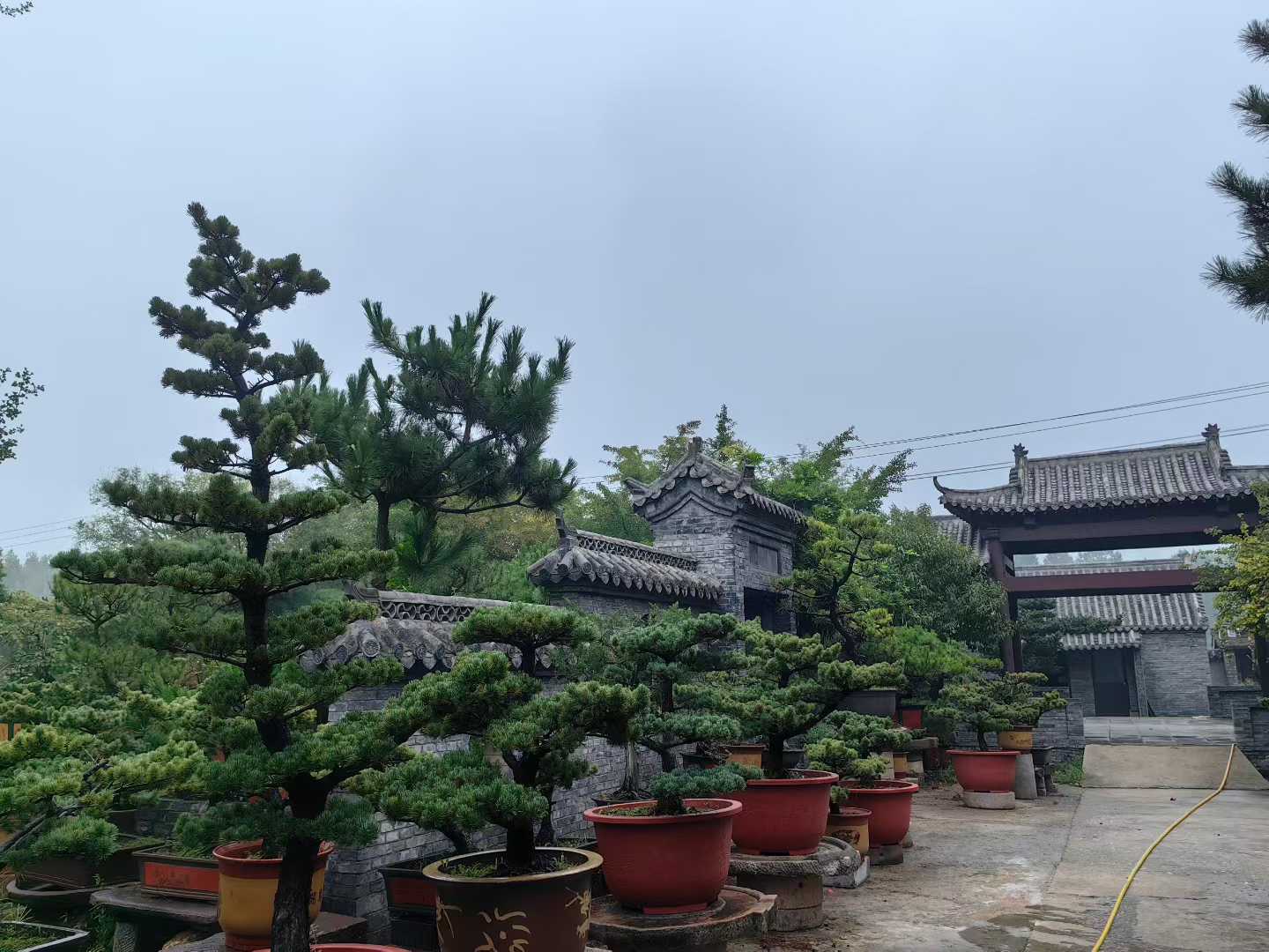 微信图片_2025-09-27_090921_513.jpg
