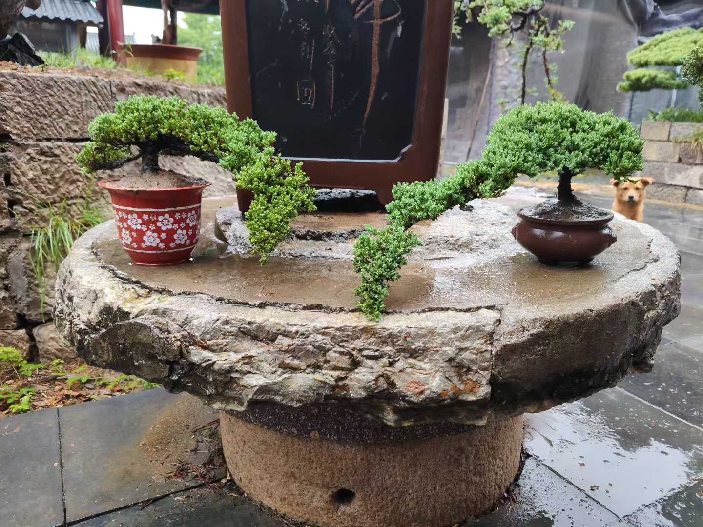 微信图片_2025-10-05_181526_799.jpg