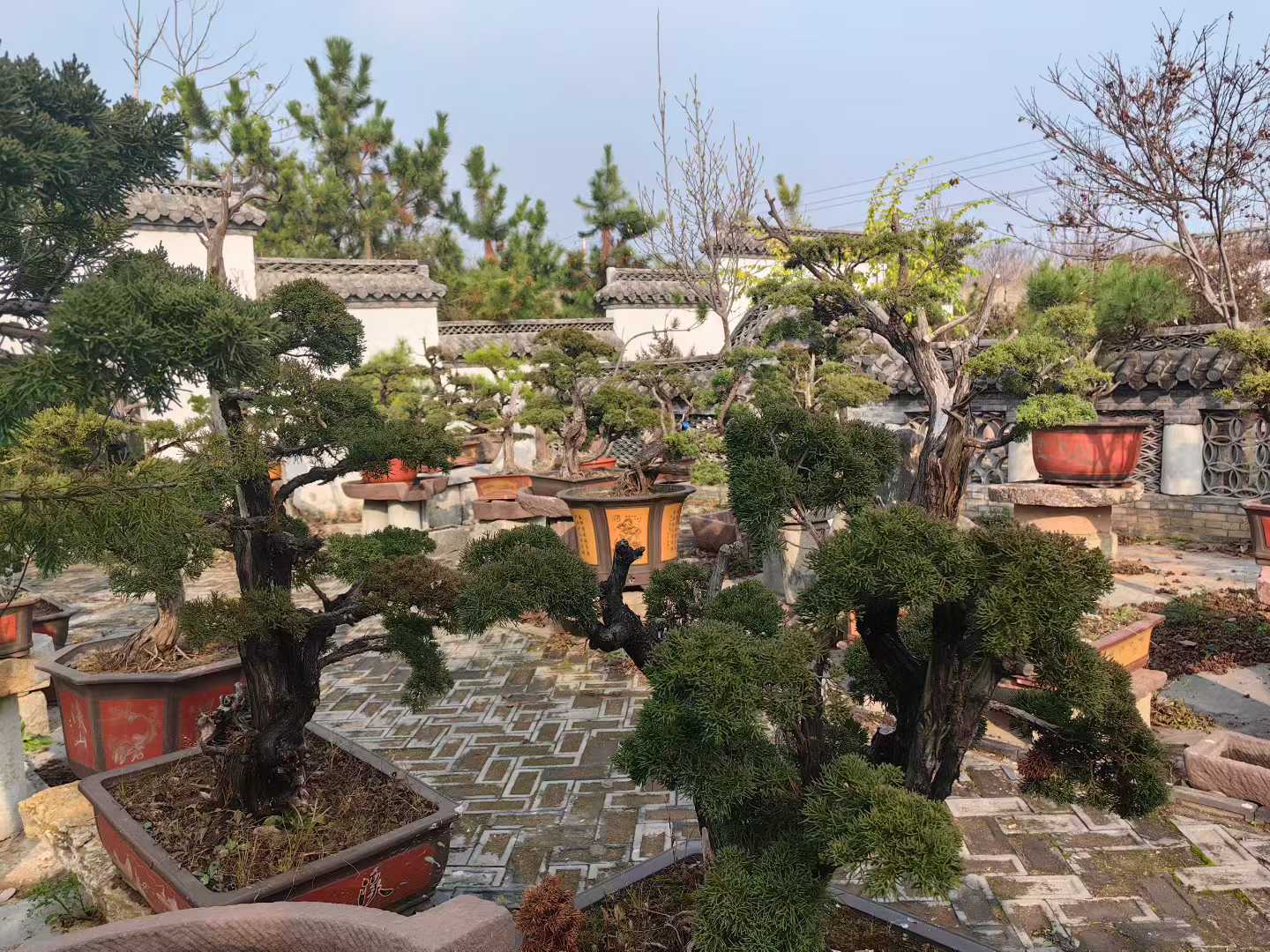 微信图片_2025-10-20_102504_467.jpg