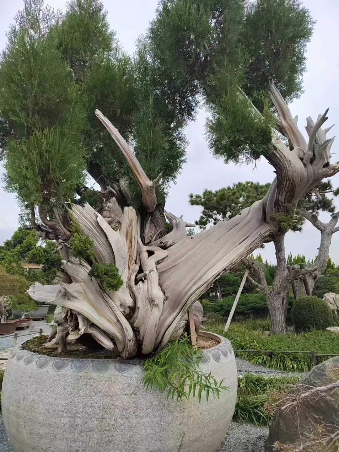 微信图片_2025-10-20_102528_059.jpg
