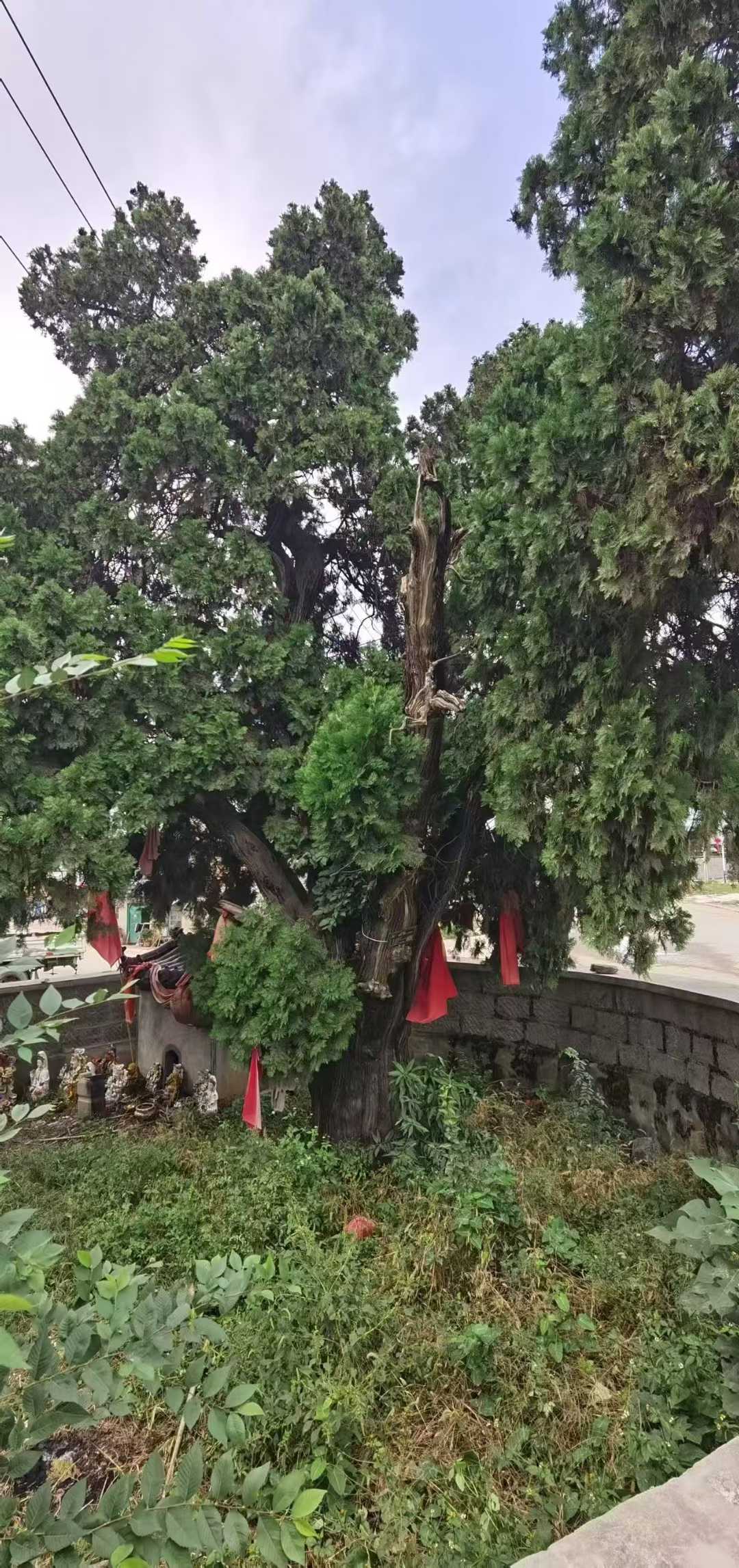 微信图片_2025-10-20_102522_243.jpg