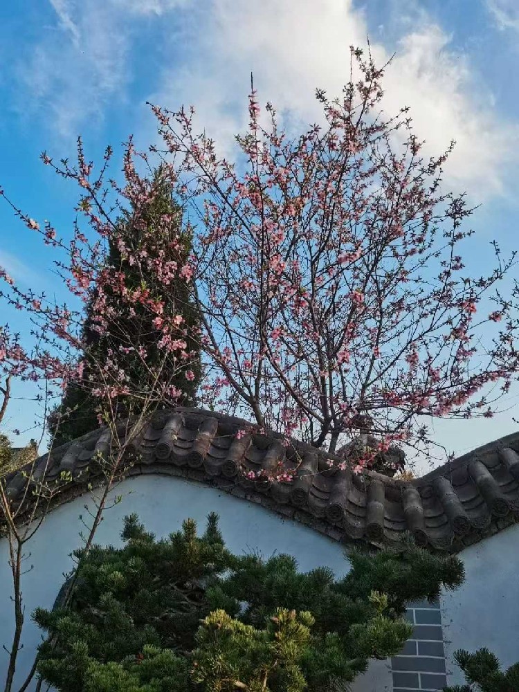 微信图片_2025-11-06_111430_871.jpg