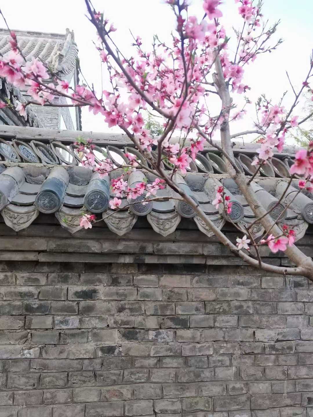 微信图片_2025-11-06_111448_709.jpg