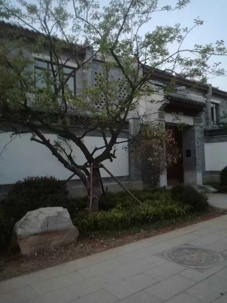 微信图片_2025-11-18_105142_977.jpg