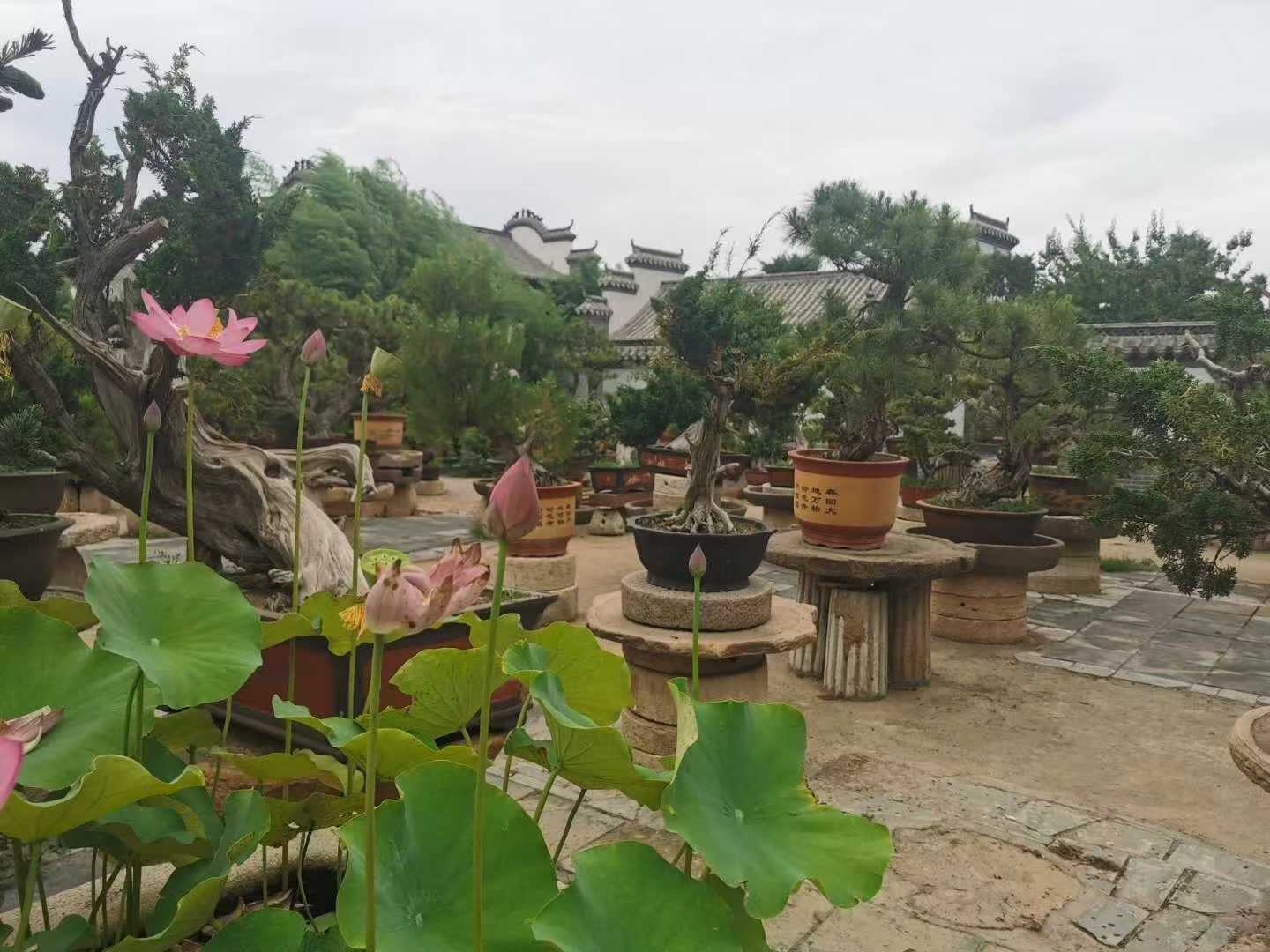 微信图片_2025-11-18_105204_384.jpg