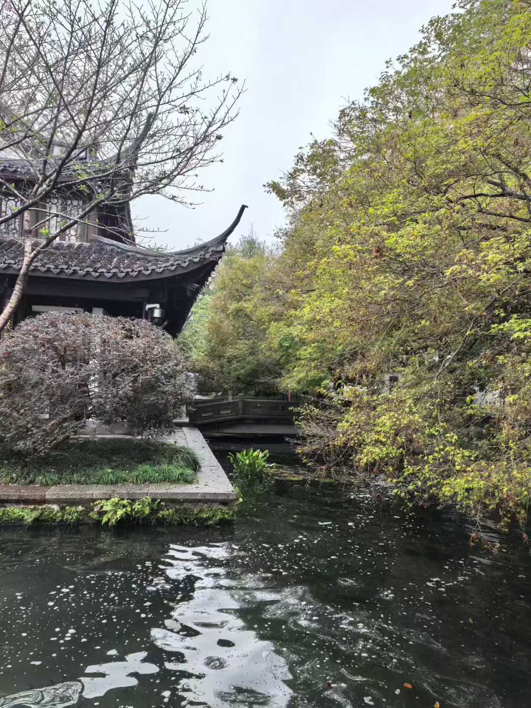 微信图片_2025-11-18_105208_432.jpg