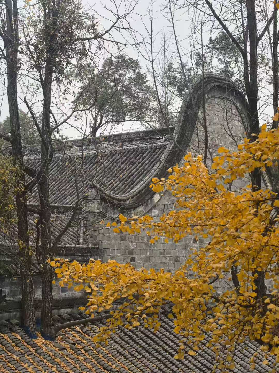 微信图片_2026-01-18_173647_839.jpg