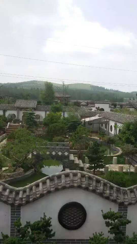 微信图片_2026-03-17_162312_422.jpg