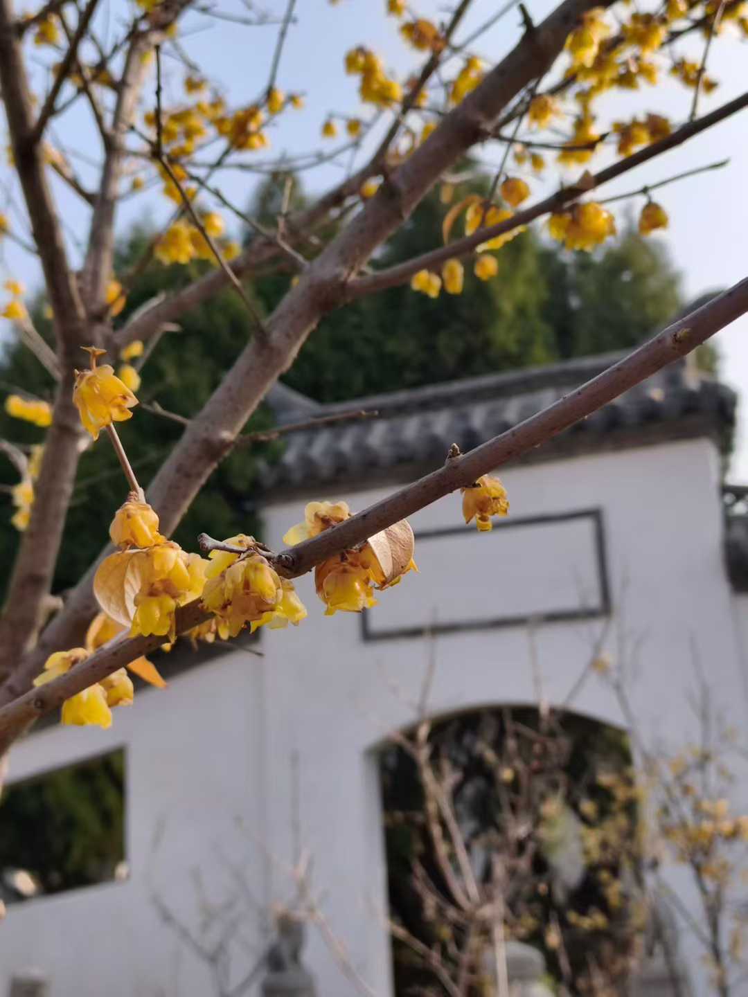微信图片_2026-03-17_162309_194.jpg
