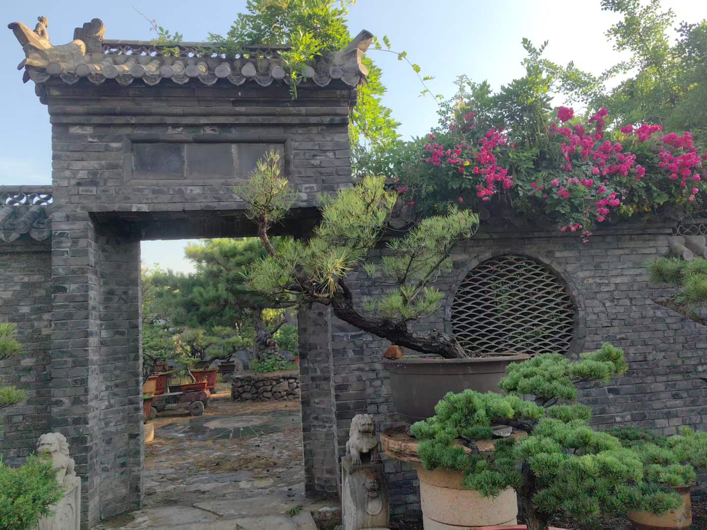 微信图片_2026-05-30_231225_154.jpg