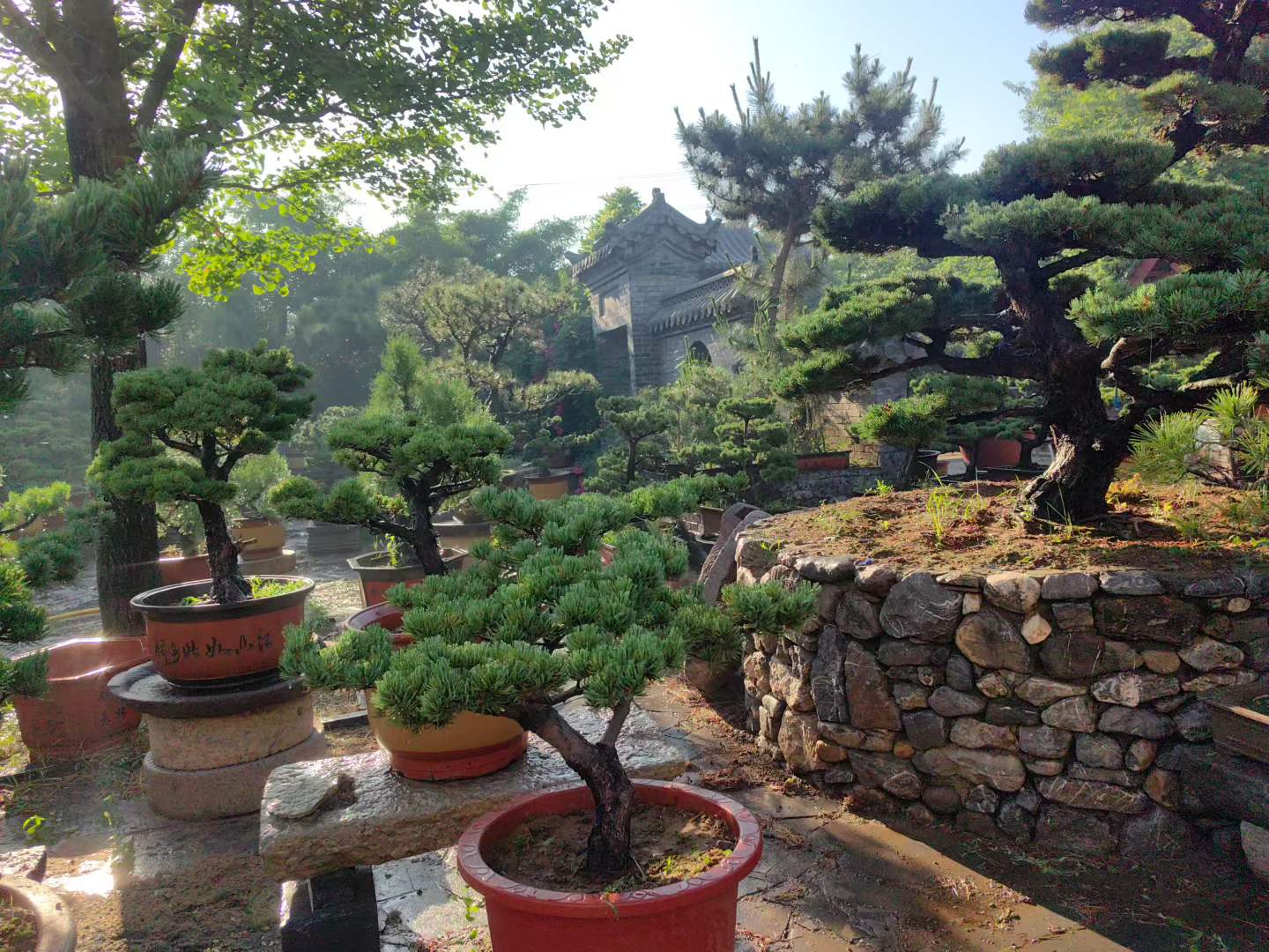 微信图片_2026-05-30_231231_997.jpg