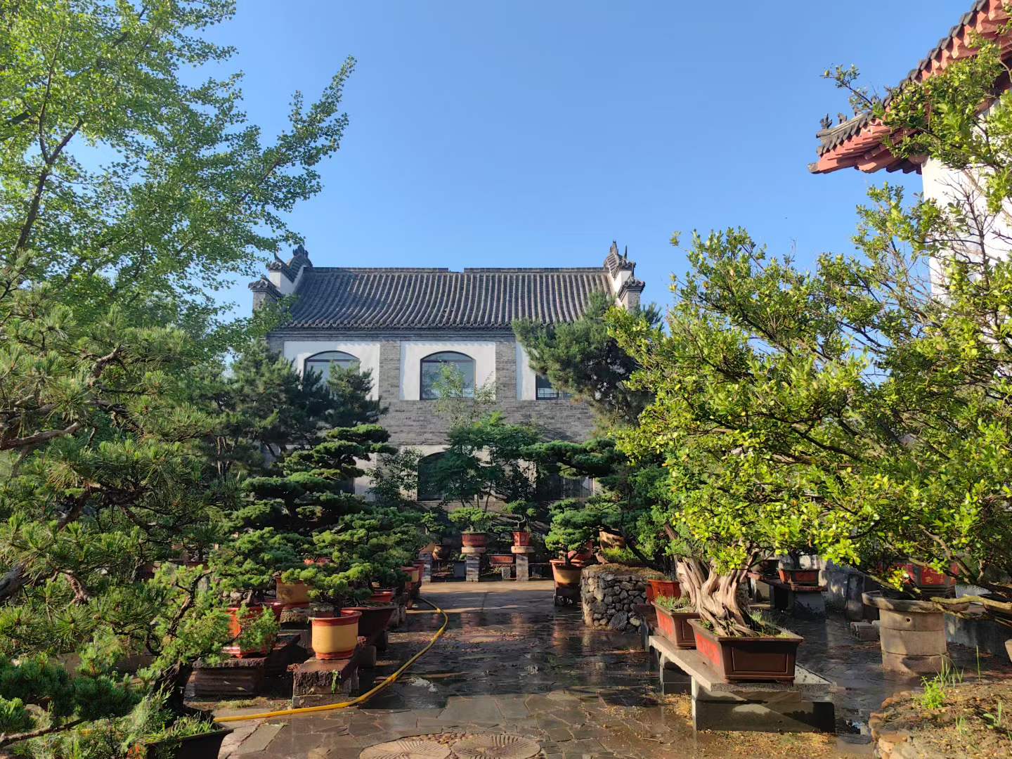 微信图片_2026-05-30_231241_670.jpg