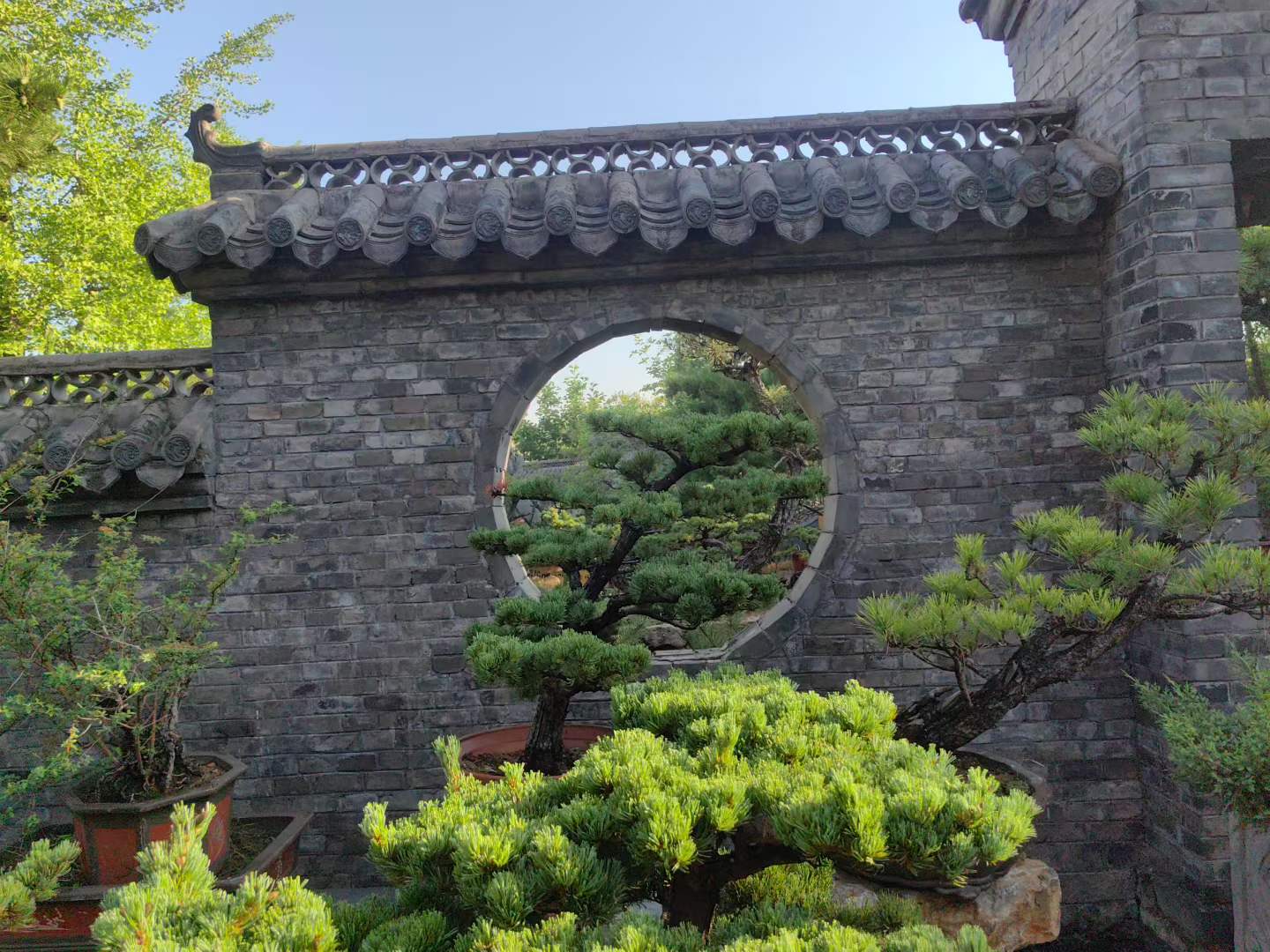 微信图片_2026-05-30_231228_648.jpg
